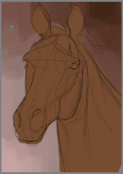 Horse head, sketch 2