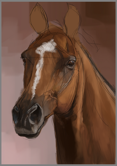 Horse head, sketch 4