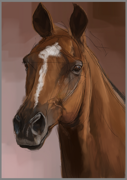Horse head, sketch 5