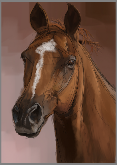 Horse head, sketch 6