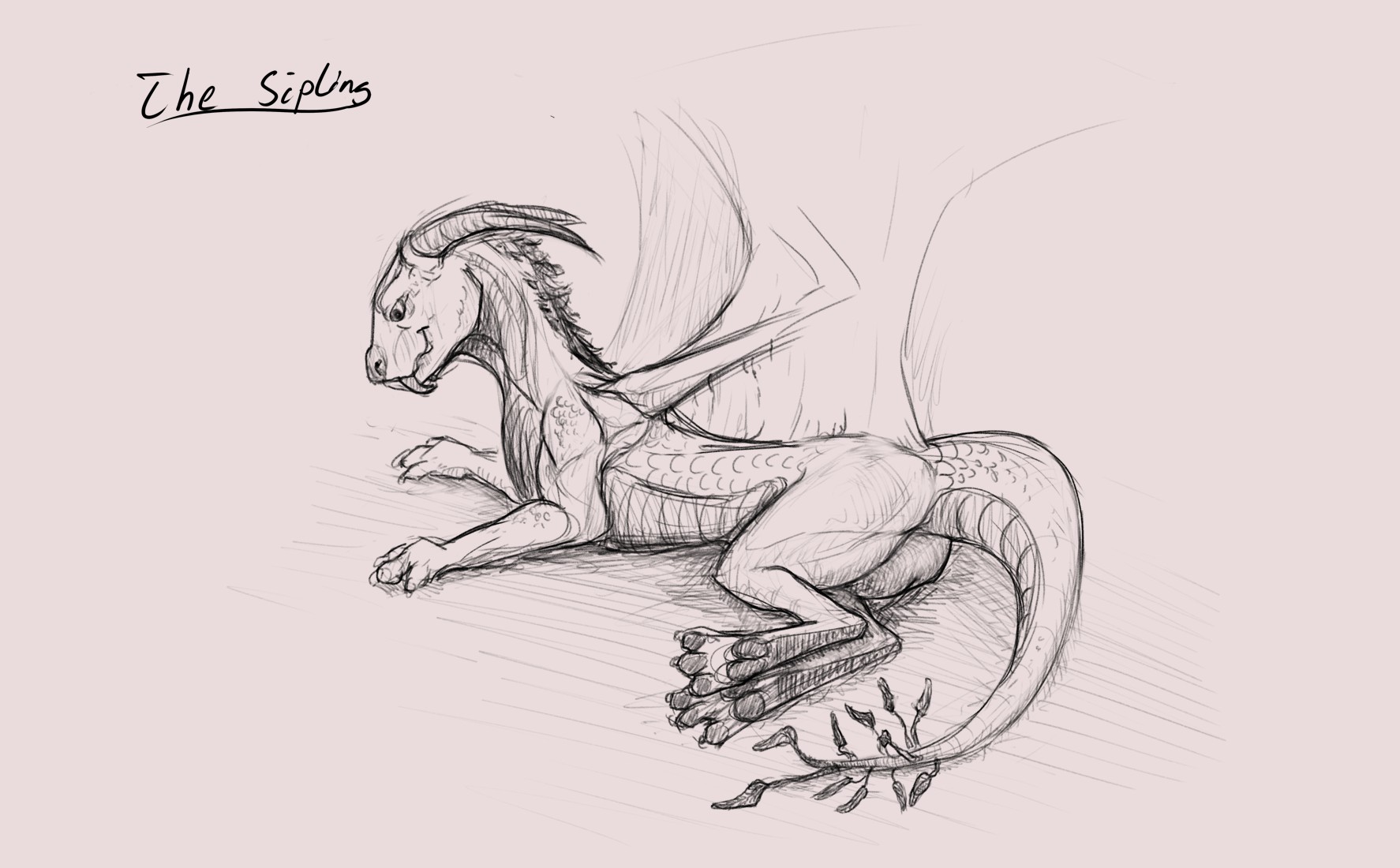 Sketch of a sipling dragon