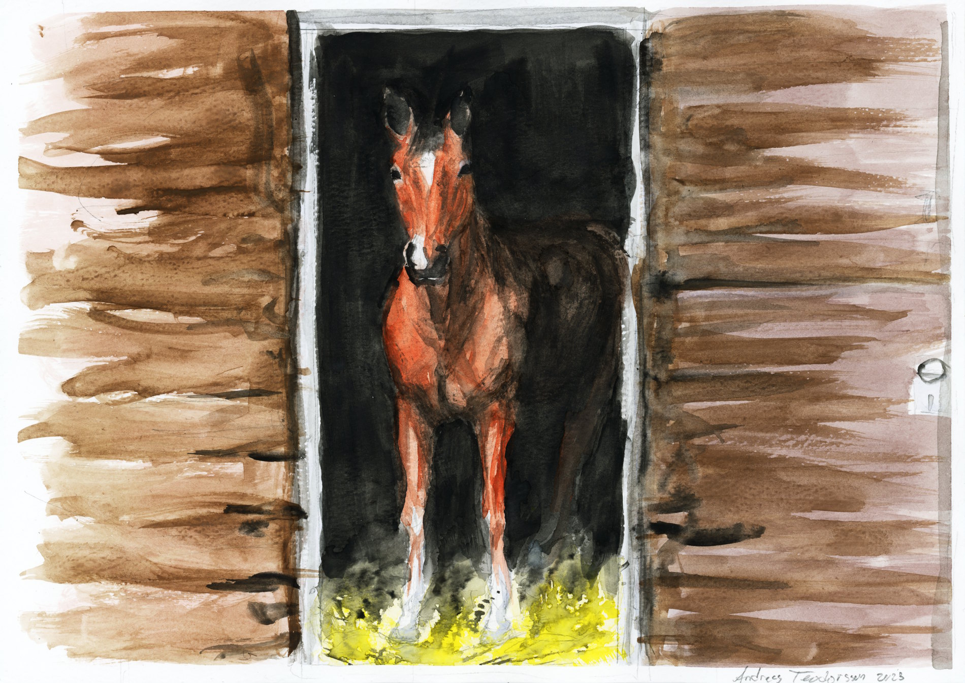 Watercolor drawing of a horse in its box