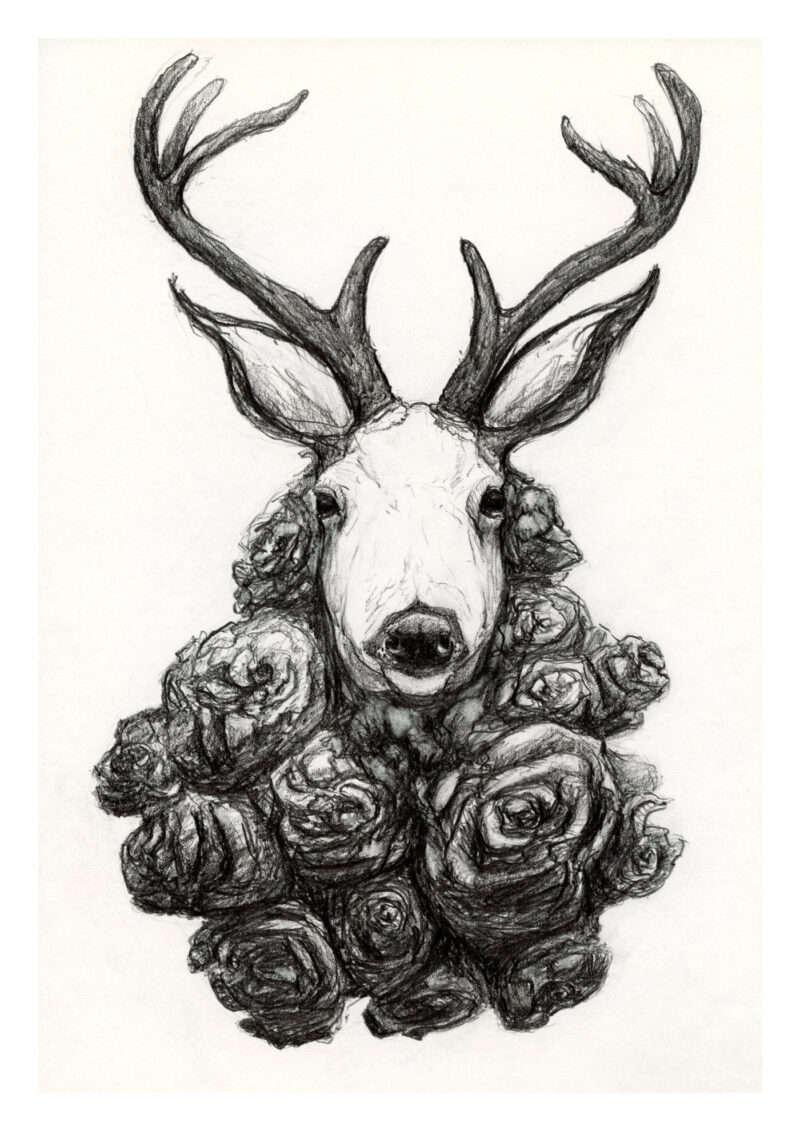 A print of a pencil drawing of a deer head in a bouquet of roses.