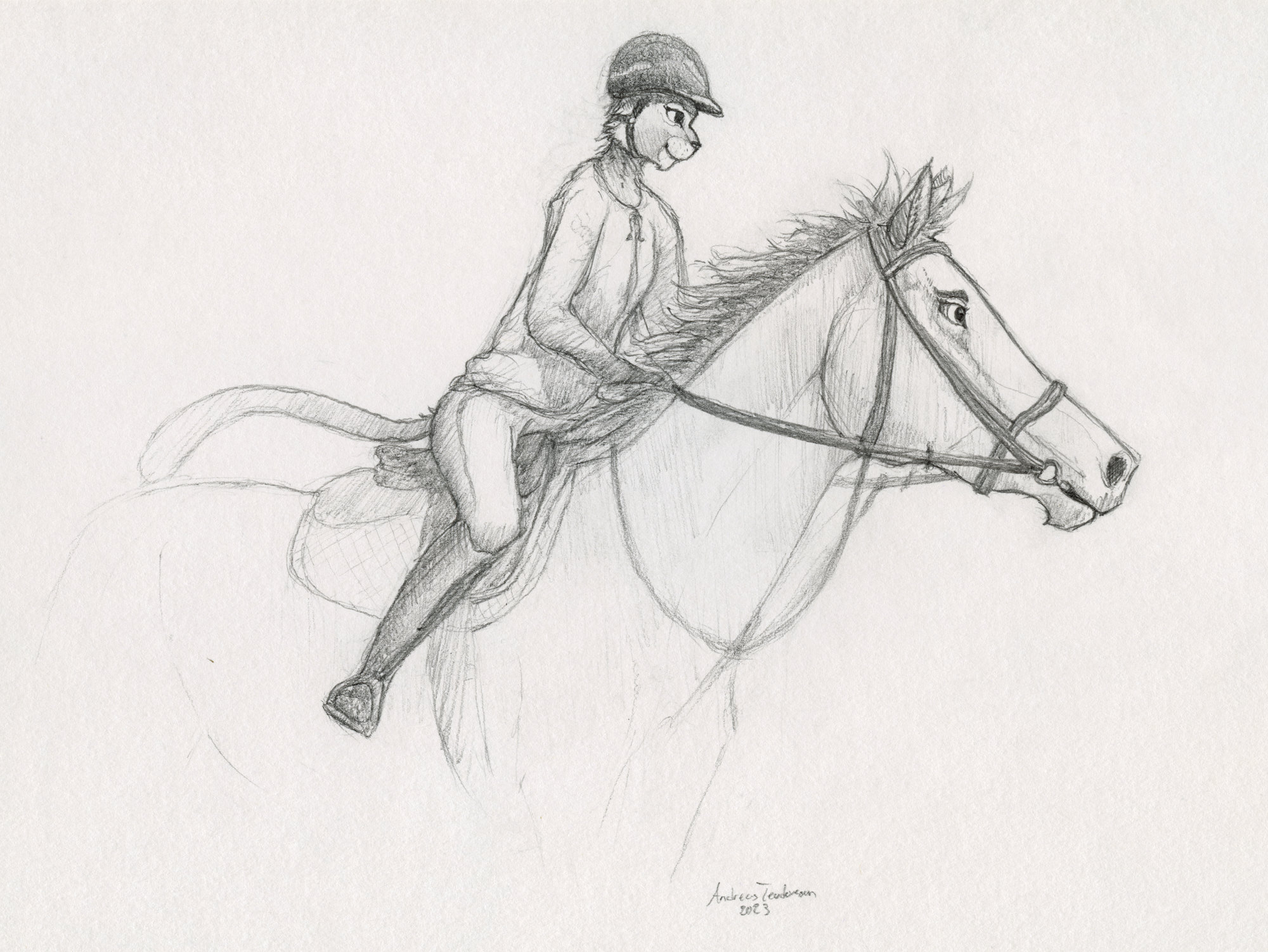 A drawing of a small anthro cat riding a horse